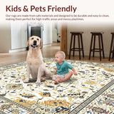 Ultra Soft Area Rug, Non Slip, Stain Resistant, Washable Area Rugs for Living Room, Bedroom, Geometric Speckled Beige(White)