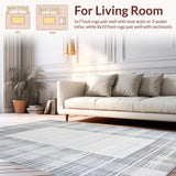 Ultra Soft Area Rug, Non Slip, Stain Resistant, Washable Area Rugs for Living Room, Bedroom, Cozy Plush Pet-Friendly Appeal(Gray)