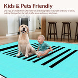 Ultra Soft Area Rug, Non Slip, Stain Resistant, Washable Area Rugs for Living Room, Bedroom, Sophisticated Structured Note Layout(Blue)