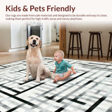 Ultra Soft Area Rug, Non Slip, Stain Resistant, Washable Area Rugs for Living Room, Bedroom, Elegant Monochrome Striped Indoor Low Pile Decorative Floor Covering(Gray)