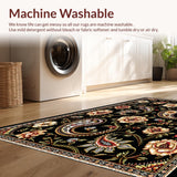 Ultra Soft Area Rug, Non Slip, Stain Resistant, Washable Area Rugs for Living Room, Bedroom, Elegant Black Paisley Bedroom Accent Rug(Black)
