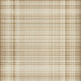 Ultra Soft Area Rug, Non Slip, Stain Resistant, Washable Area Rugs for Living Room, Bedroom, Contemporary Soft Tasseled Appeal(Beige)