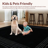 Ultra Soft Area Rug, Non Slip, Stain Resistant, Washable Area Rugs for Living Room, Bedroom, Sleek Geometric Black and White Fusion(Black)