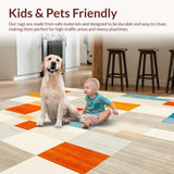 Ultra Soft Area Rug, Non Slip, Stain Resistant, Washable Area Rugs for Living Room, Bedroom, Colorful Geometric Square Burst Abstract Modern Area(Gray)