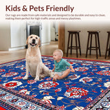 Ultra Soft Area Rug, Non Slip, Stain Resistant, Washable Area Rugs for Living Room, Bedroom, Rustic Geometric Colorful Palette(Blue)