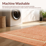 Ultra Soft Area Rug, Non Slip, Stain Resistant, Washable Area Rugs for Living Room, Bedroom, Geometric Terracotta(Orange)