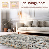 Ultra Soft Area Rug, Non Slip, Stain Resistant, Washable Area Rugs for Living Room, Bedroom, Non Slip Small Indoor Entrance with Vintage Style Print(Gray)