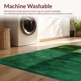 Ultra Soft Area Rug, Non Slip, Stain Resistant, Washable Area Rugs for Living Room, Bedroom, Soft Grass-Like Dorm Room Aesthetic Carpet(Green)