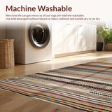 Ultra Soft Area Rug, Non Slip, Stain Resistant, Washable Area Rugs for Living Room, Bedroom, Cozy Warm Palette Weave(Brown)