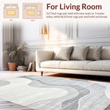 Ultra Soft Area Rug, Non Slip, Stain Resistant, Washable Area Rugs for Living Room, Bedroom, Sleek Minimalist Plush Cloud Effect(Gray)