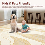 Ultra Soft Area Rug, Non Slip, Stain Resistant, Washable Area Rugs for Living Room, Bedroom, Modern Beige Area Featuring Abstract Lines And Gold Accents(Beige)