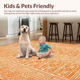 Ultra Soft Area Rug, Non Slip, Stain Resistant, Washable Area Rugs for Living Room, Bedroom, Modern Abstract Colorful Composition(Orange)
