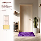 Ultra Soft Area Rug, Non Slip, Stain Resistant, Washable Area Rugs for Living Room, Bedroom, Trendy Fuzzy Ombre Style(Purple)