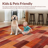 Ultra Soft Area Rug, Non Slip, Stain Resistant, Washable Area Rugs for Living Room, Bedroom, Elegant Distressed Colorful Pattern(Brown)
