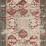 Ultra Soft Area Rug, Non Slip, Stain Resistant, Washable Area Rugs for Living Room, Bedroom, Boho Chic Area Low Pile Abstract Print(Red)