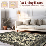 Ultra Soft Area Rug, Non Slip, Stain Resistant, Washable Area Rugs for Living Room, Bedroom, Contemporary Geometric Area with Bold Black and Beige Design(Beige)