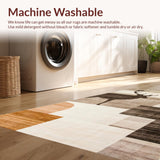 Ultra Soft Area Rug, Non Slip, Stain Resistant, Washable Area Rugs for Living Room, Bedroom, Luxurious Fluffy Neutral Aesthetic(Beige)