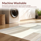Ultra Soft Area Rug, Non Slip, Stain Resistant, Washable Area Rugs for Living Room, Bedroom, Subtle Echoes Abstract Form Pale Palette(Beige)