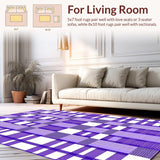 Ultra Soft Area Rug, Non Slip, Stain Resistant, Washable Area Rugs for Living Room, Bedroom, Whimsical Wavy Checkerboard Aesthetic(Purple)