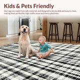 Ultra Soft Area Rug, Non Slip, Stain Resistant, Washable Area Rugs for Living Room, Bedroom, Monochrome Rhythm Rug Featuring Graphic Stripe Motif and Sleek Lines(Gray)