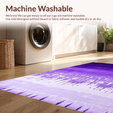 Ultra Soft Area Rug, Non Slip, Stain Resistant, Washable Area Rugs for Living Room, Bedroom, Eclectic Soft Ombre Effect(Purple)
