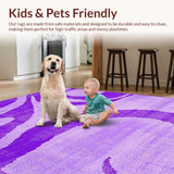 Ultra Soft Area Rug, Non Slip, Stain Resistant, Washable Area Rugs for Living Room, Bedroom, Playful Colorful Shag Elegance(Purple)