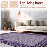 Ultra Soft Area Rug, Non Slip, Stain Resistant, Washable Area Rugs for Living Room, Bedroom, Luxurious Abstract Checkerboard Style(Purple)