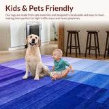 Ultra Soft Area Rug, Non Slip, Stain Resistant, Washable Area Rugs for Living Room, Bedroom, Contemporary Vibrant Color Fusion(Purple)