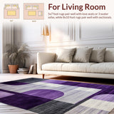 Ultra Soft Area Rug, Non Slip, Stain Resistant, Washable Area Rugs for Living Room, Bedroom, Chic Transitional Textured Floor Accent(Purple)
