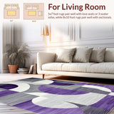 Ultra Soft Area Rug, Non Slip, Stain Resistant, Washable Area Rugs for Living Room, Bedroom, Chic Ogee Motif in Cool Tones(Gray)