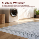 Ultra Soft Area Rug, Non Slip, Stain Resistant, Washable Area Rugs for Living Room, Bedroom, Elegant High Pile Contemporary Style(Gray)