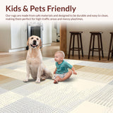 Ultra Soft Area Rug, Non Slip, Stain Resistant, Washable Area Rugs for Living Room, Bedroom, Sophisticated Neutral Toned Design(Beige)