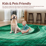 Ultra Soft Area Rug, Non Slip, Stain Resistant, Washable Area Rugs for Living Room, Bedroom, Whimsical Colorful Shag Pattern(Green)
