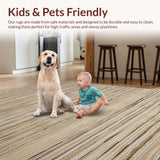 Ultra Soft Area Rug, Non Slip, Stain Resistant, Washable Area Rugs for Living Room, Bedroom, Boho Textural Earthy Delight(Beige)