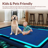 Ultra Soft Area Rug, Non Slip, Stain Resistant, Washable Area Rugs for Living Room, Bedroom, Dynamic Graphic Expression Motif(Blue)