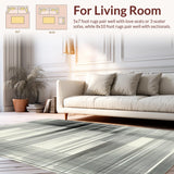 Ultra Soft Area Rug, Non Slip, Stain Resistant, Washable Area Rugs for Living Room, Bedroom, Classic Black And White Striped Rug: Entryway Decor Doormat(Gray)