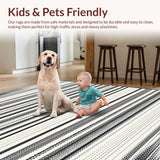 Ultra Soft Area Rug, Non Slip, Stain Resistant, Washable Area Rugs for Living Room, Bedroom, Industrial Stripe Rug with Minimalist Dash Sequence and Modern Linear Motif(Black)
