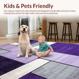 Ultra Soft Area Rug, Non Slip, Stain Resistant, Washable Area Rugs for Living Room, Bedroom, Elegant Plush Contemporary Style(Purple)