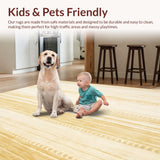 Ultra Soft Area Rug, Non Slip, Stain Resistant, Washable Area Rugs for Living Room, Bedroom, Gold with Uniform Matte Finish and Smooth Surface(Beige)
