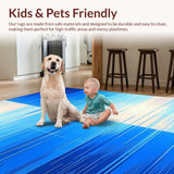 Ultra Soft Area Rug, Non Slip, Stain Resistant, Washable Area Rugs for Living Room, Bedroom, Contemporary Light Blue Elegance(Blue)