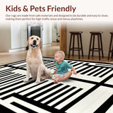 Ultra Soft Area Rug, Non Slip, Stain Resistant, Washable Area Rugs for Living Room, Bedroom, Chic Rustic Zebra Pattern Design(Beige)