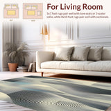 Ultra Soft Area Rug, Non Slip, Stain Resistant, Washable Area Rugs for Living Room, Bedroom, Black and White Twisted Stripe for Contemporary Room(Gray)