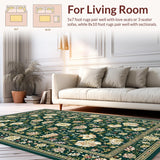 Ultra Soft Area Rug, Non Slip, Stain Resistant, Washable Area Rugs for Living Room, Bedroom, Rustic Intricate Oriental Patterns(Green)