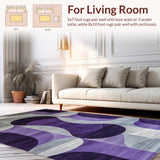 Ultra Soft Area Rug, Non Slip, Stain Resistant, Washable Area Rugs for Living Room, Bedroom, Vibrant Cozy Purple Hue(Purple)