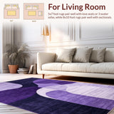 Ultra Soft Area Rug, Non Slip, Stain Resistant, Washable Area Rugs for Living Room, Bedroom, Minimalist Plush Fur Decorative Touch(Purple)