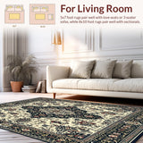 Ultra Soft Area Rug, Non Slip, Stain Resistant, Washable Area Rugs for Living Room, Bedroom, Vintage Inspired Boho Area with Ornate Black and Beige Medallion Motifs(White)