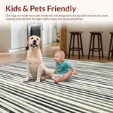 Ultra Soft Area Rug, Non Slip, Stain Resistant, Washable Area Rugs for Living Room, Bedroom, Modern Striped Monochrome Floor Covering with Parallel Bold Lines(Black)