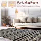 Ultra Soft Area Rug, Non Slip, Stain Resistant, Washable Area Rugs for Living Room, Bedroom, Chic Linear Patterned Art Piece(Black)