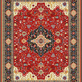 Ultra Soft Area Rug, Non Slip, Stain Resistant, Washable Area Rugs for Living Room, Bedroom, Clearance Boho(Red)
