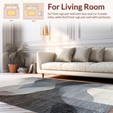 Ultra Soft Area Rug, Non Slip, Stain Resistant, Washable Area Rugs for Living Room, Bedroom, Ultra-Thin Fade Design Stain Resistant Non Slip Home Decor Rug Runner(Gray)